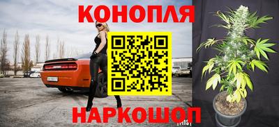 стафф Ачхой-Мартан
