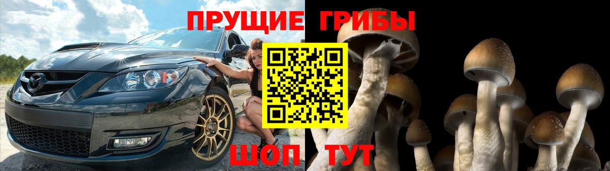 Псилоцибиновые грибы ЛСД Губкинский